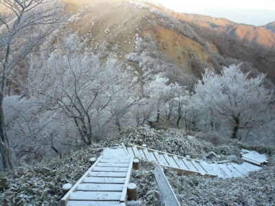 蛭ヶ岳へ向かう木道