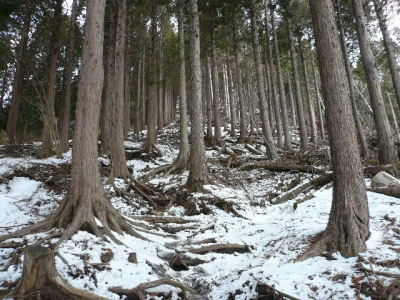 三ノ塔尾根_雪はじめ