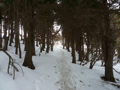 三ノ塔尾根_雪あり