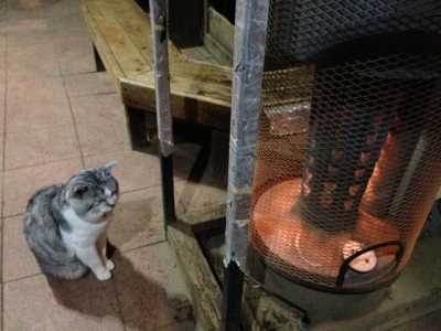 尊仏猫とストーブ