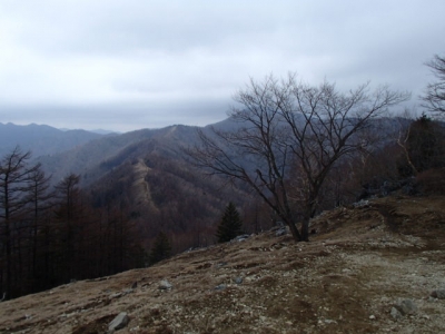 七つ石山山頂