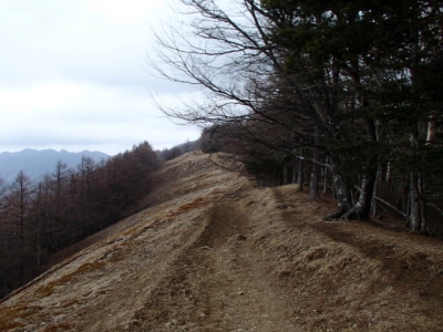 広い尾根道