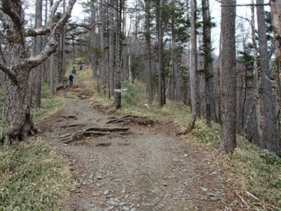 子雲取山へ向かって
