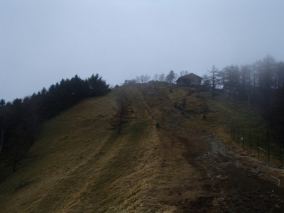 雲取山山頂へ