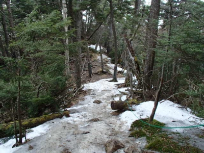 雲取山荘へ下山