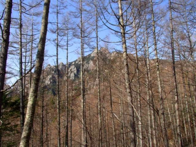登山道途中の瑞牆山