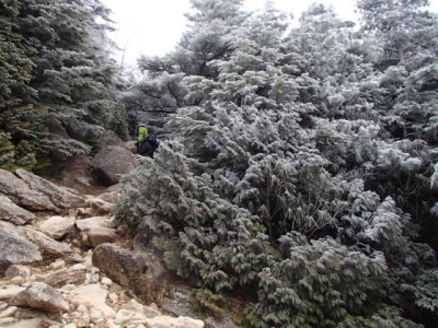 岩場と霧氷