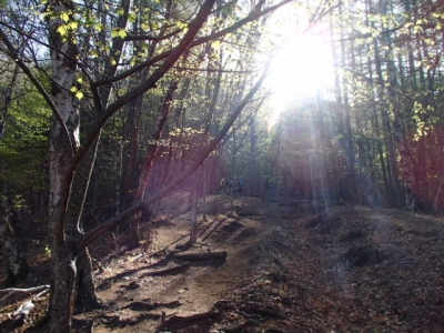 瑞牆山荘登山口出発