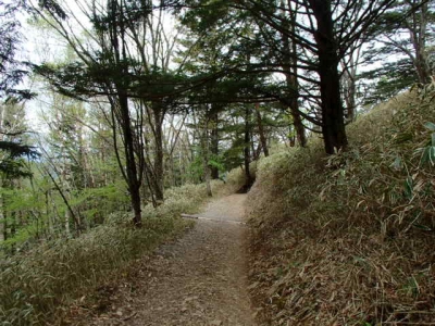 介山荘〜下山