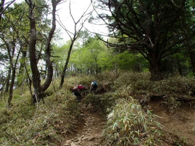 唐松尾根登り