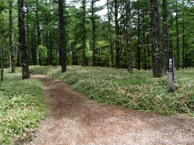 登山道入口