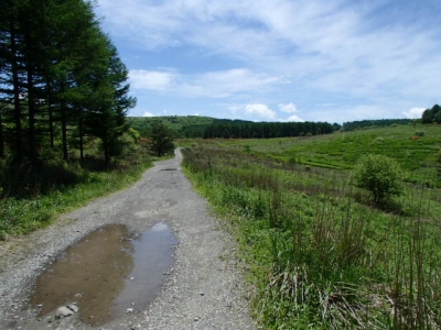 トトロな昔道