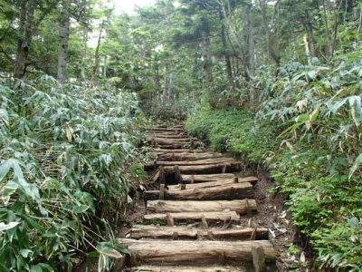 整備された道