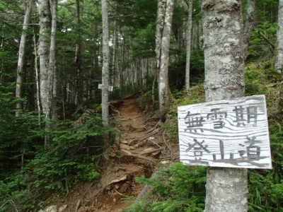 薬師岳までの登山道