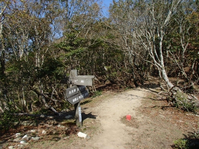 ワサビ峠