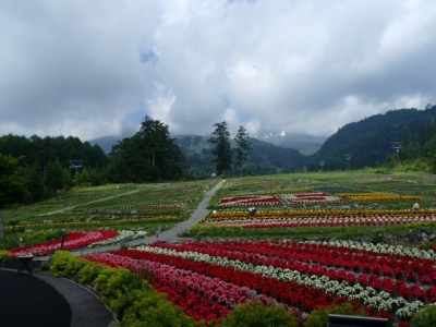 お花畑