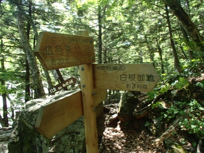 白根御池分岐