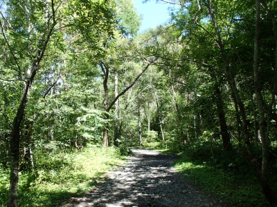 梓川左岸