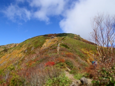 谷川岳への登山道