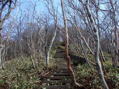 木道が続きます。