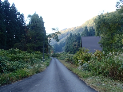 苗場山林道