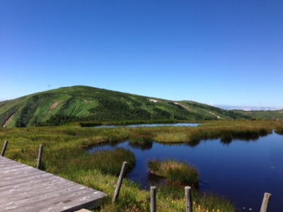 平ヶ岳山頂