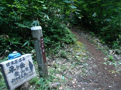 ここからやせ尾根
