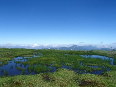 奥に見えるのが越後三山