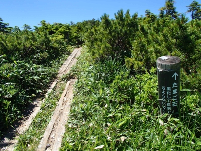 風化して危険!