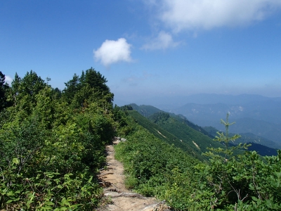 下台倉山付近の下山道