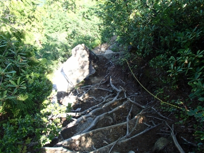 急登だったので急降