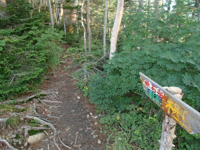 赤石小屋を出発