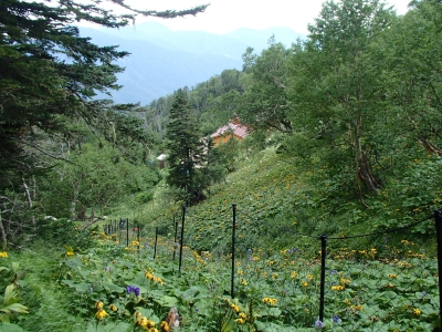 千枚小屋に到着