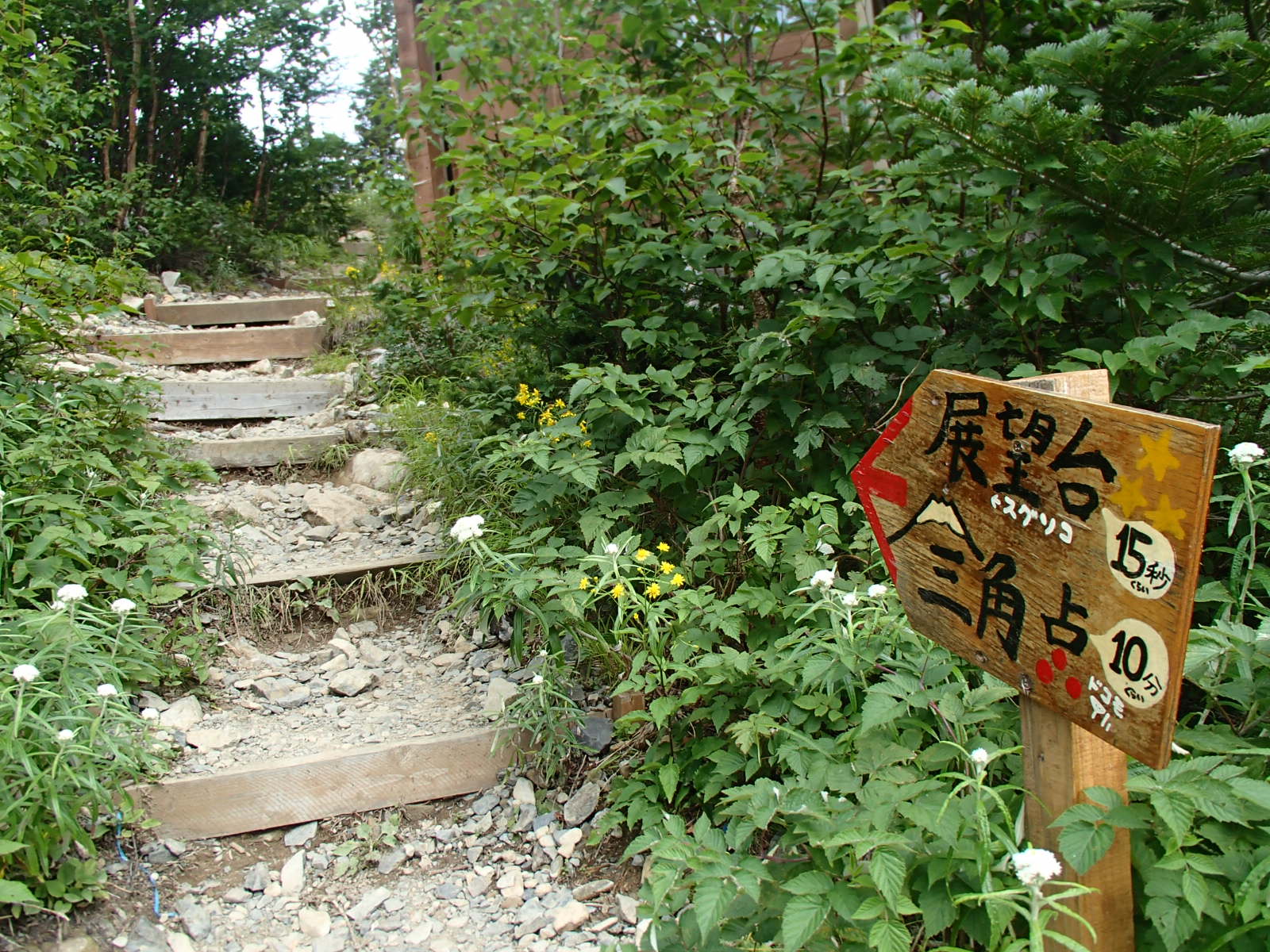 赤石小屋 展望台へ.JPG