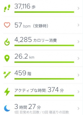 fitbit　全体管理