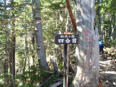 仙丈ケ岳 四合目