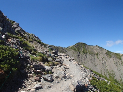仙丈ケ岳の山頂が見えた