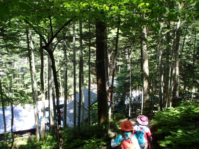 仙丈ケ岳 下山