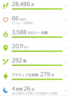 至仏山fitbit