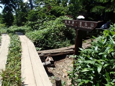 笠が岳分岐