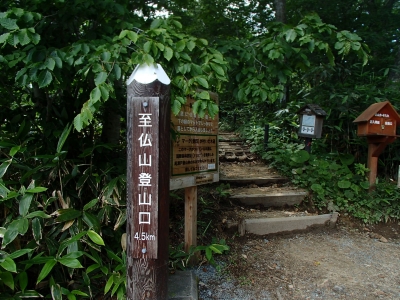鳩待峠登山口