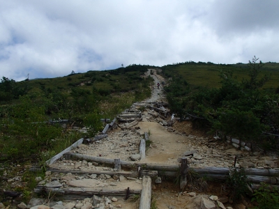 整備された登山道