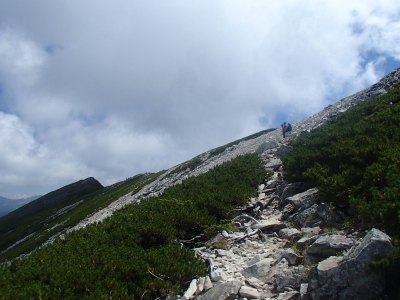 黒部五郎岳の肩付近