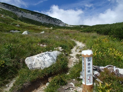 中道分岐