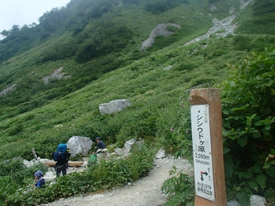 シシウドヶ原