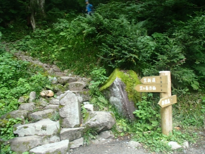 笠新道分岐