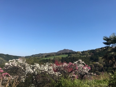 橋場バス停へ.JPG
