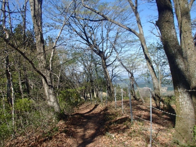 展望が良い登山道.JPG