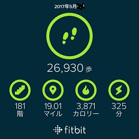 九重山1日目_fitbitデータ.JPG
