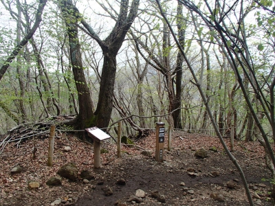 雨ヶ池越→坊ガツル.JPG